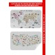Eğitici - Öğretici Dünya ve Türkiye Haritası Çocuk Odası Duvar Sticker 3884 Eğitici - Öğretici Dünya ve Türkiye Haritası Çocuk Odası Duvar Sticker 3884