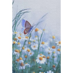 Duvar Örtüsü Papatyalar Kaliteli Kanvas Duvar Halısı