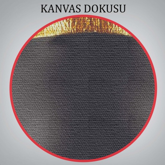 Afrikalı Zenci Kadın Yaylera Dekoratif Kanvas Tablo Afrikalı Zenci Kadın Yaylera Dekoratif Kanvas Tablo