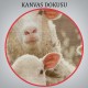 Koyun Kuzu Dekoratif Kanvas Tablo 1119 Koyun Kuzu Dekoratif Kanvas Tablo 1119